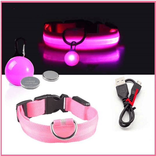 Collier lumineux pour chien usb pendentif rose