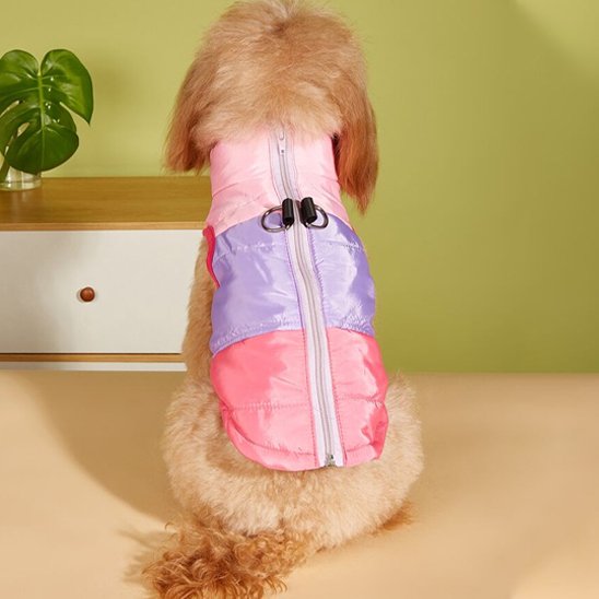Chien manteau hivpc assie