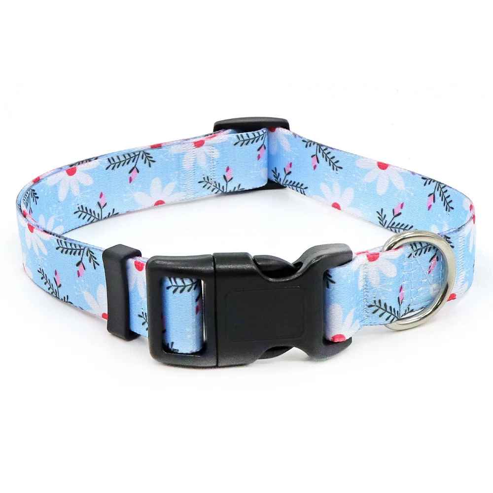 collier-chien-marguerite