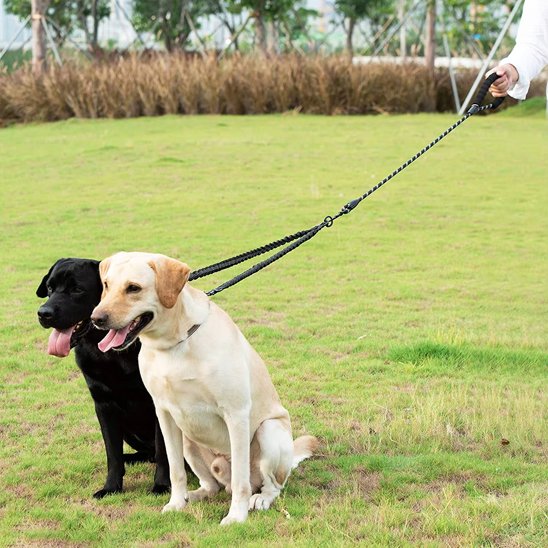Laisse double pour chien SystY assie avant