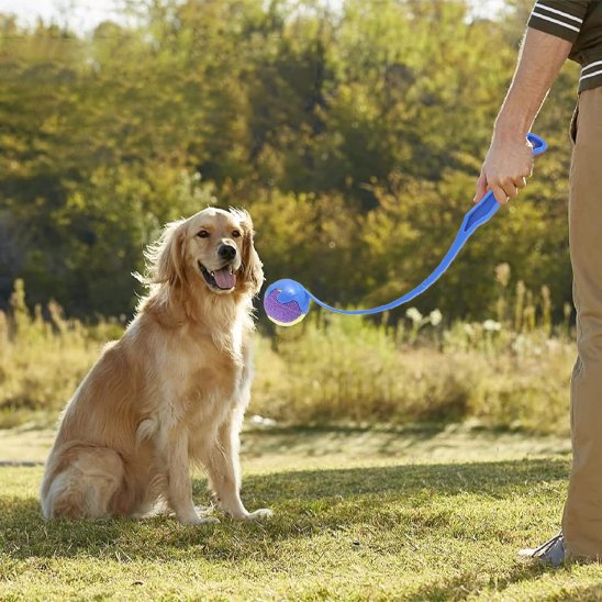 Lanceur de balle pour chien Tennis bleu