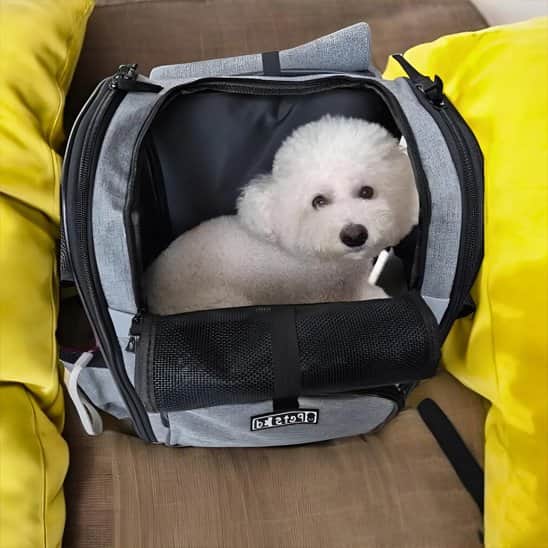 Sac de transport pour chien de 9kg gris