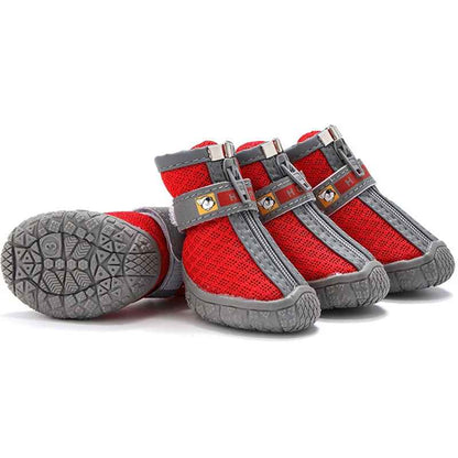 Chaussures pour chiens PawProtect rouge