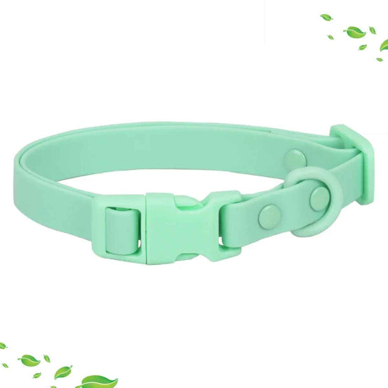 Collier chien Confortable robuste vert