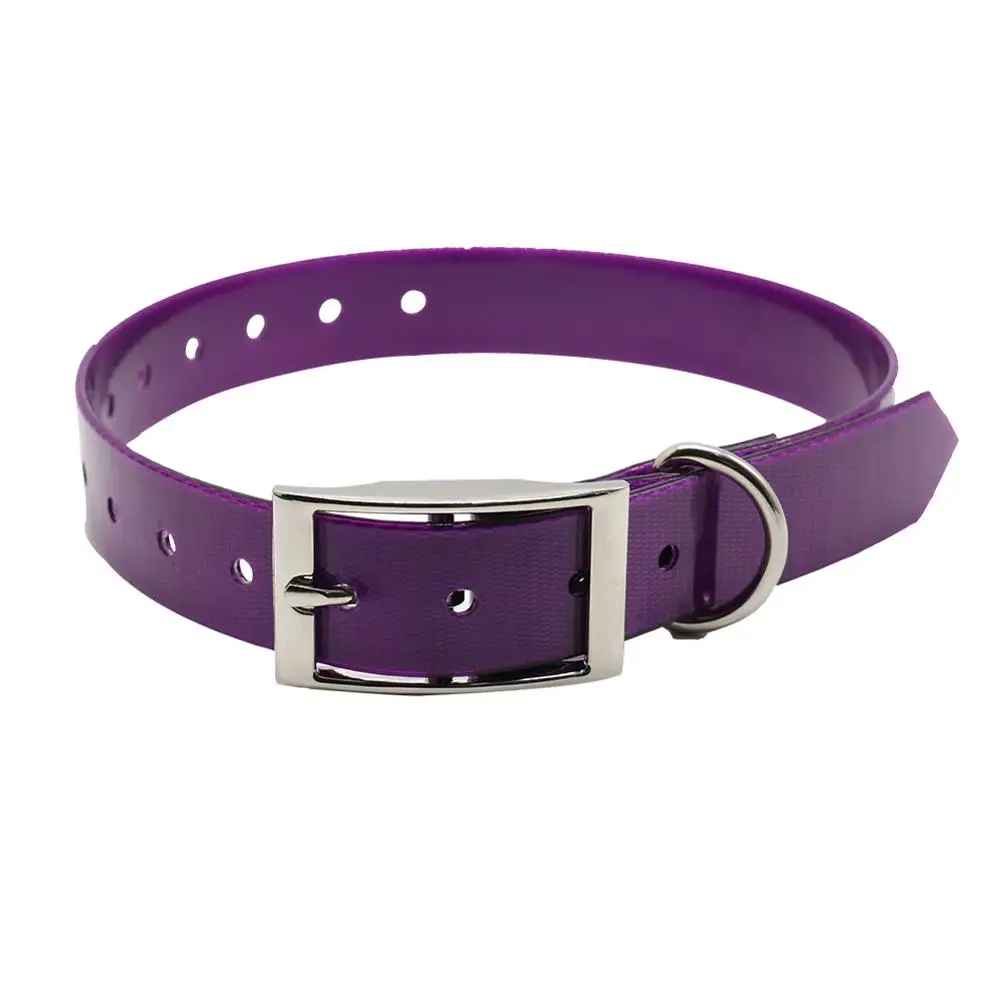 Collier chien impermeable violette