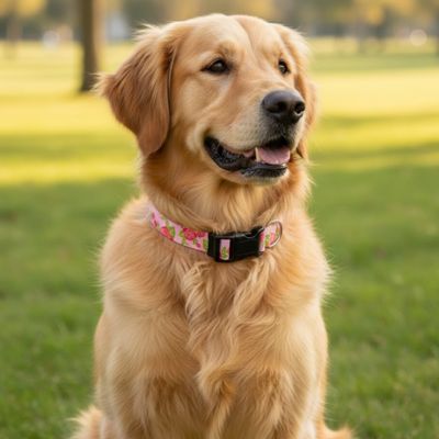 Collier chien rose golden assis