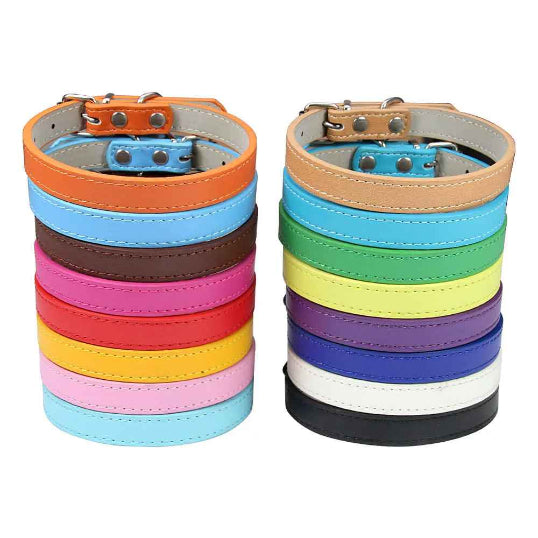 Collier en cuir chien confort optimale couleur empillé
