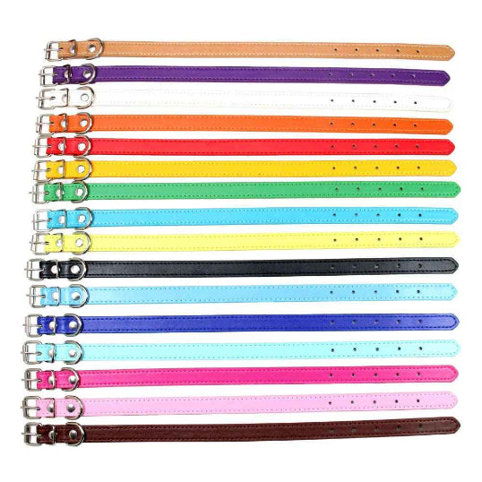 Collier en cuir chien confort optimal couleur enligné