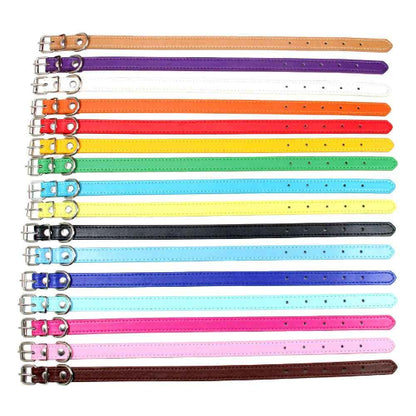 Collier en cuir chien confort optimal couleur enligné