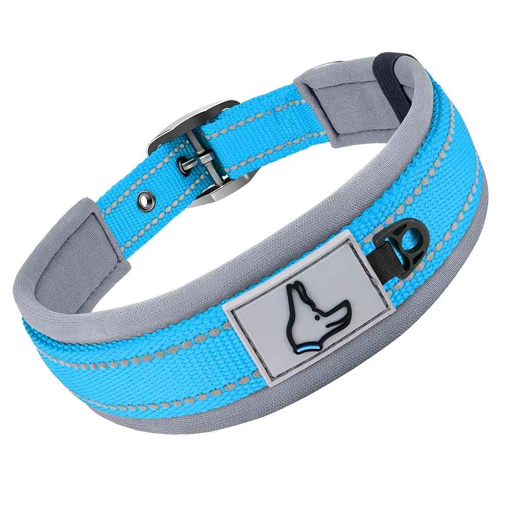 Collier chien Nylonneo bleu