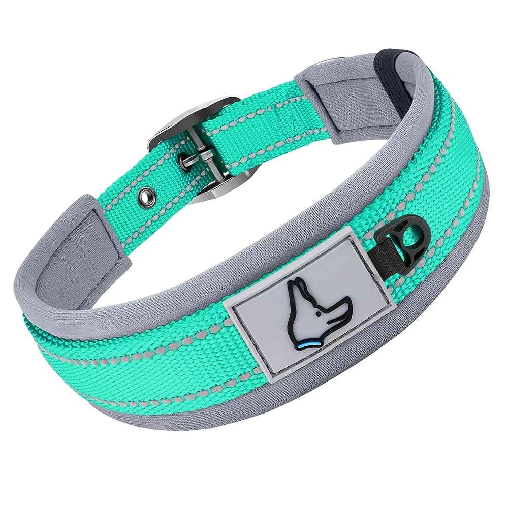 Collier chien Nylonneo bleu vert