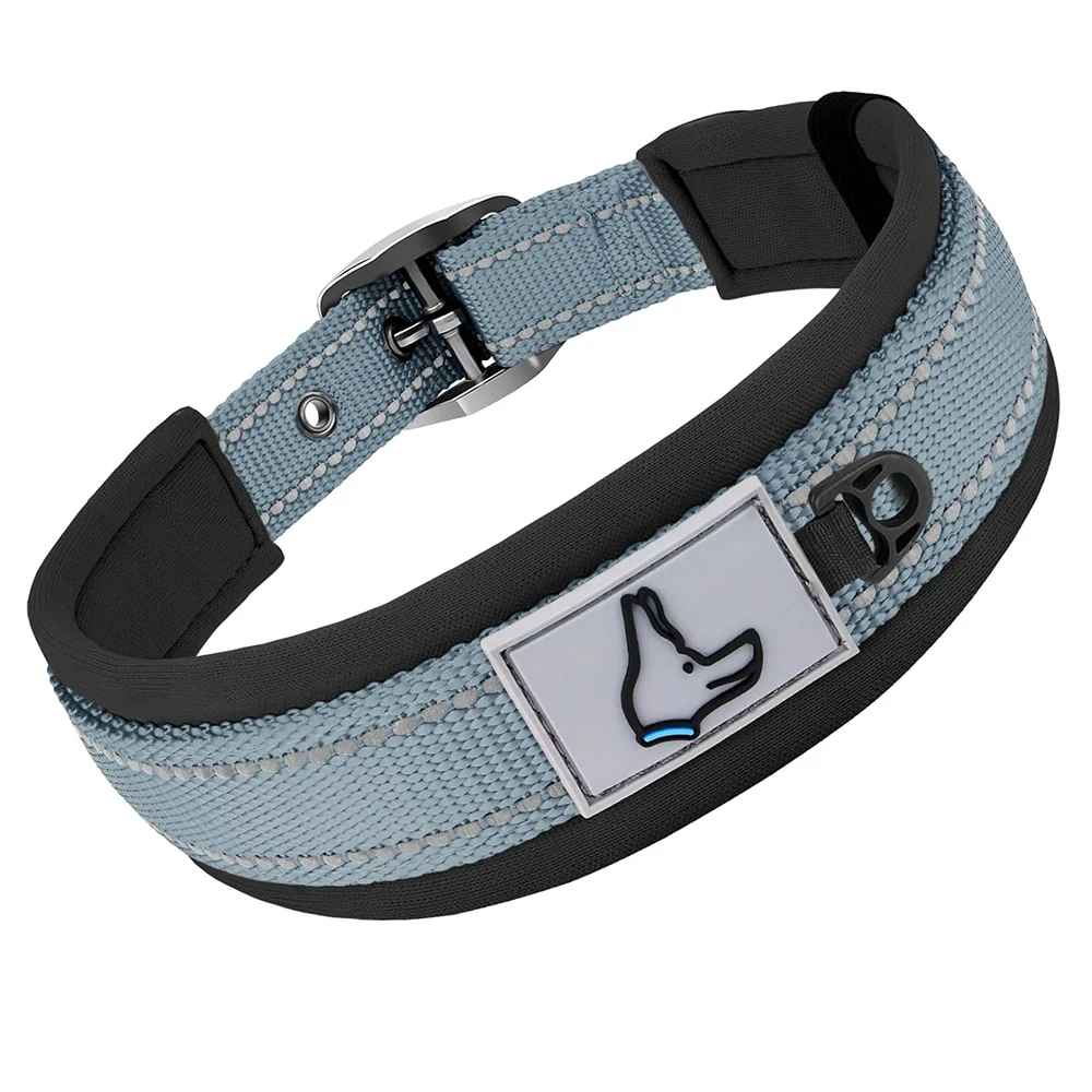 Collier chien Nylonneo gris