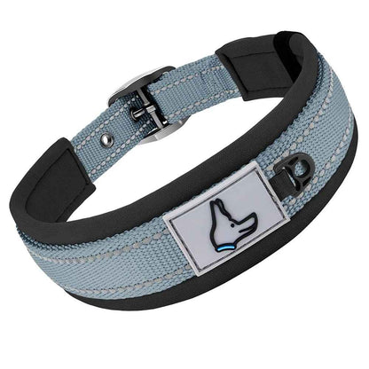 Collier chien Nylonneo gris
