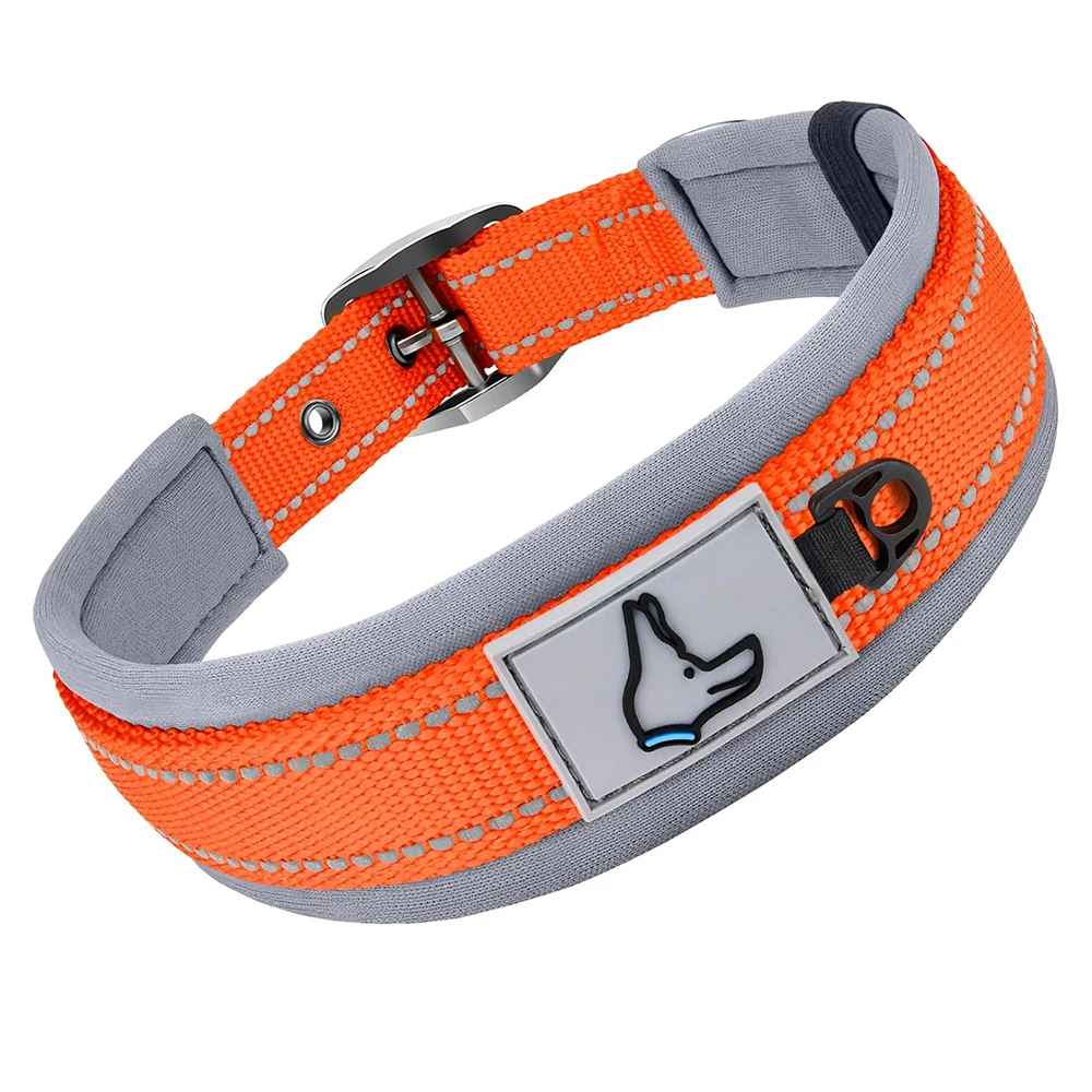 Collier chien Nylonneo orange