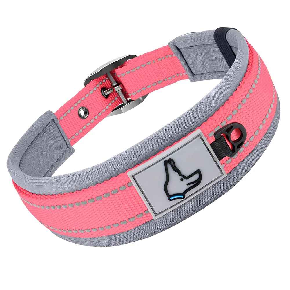 Collier chien Nylonneo rose