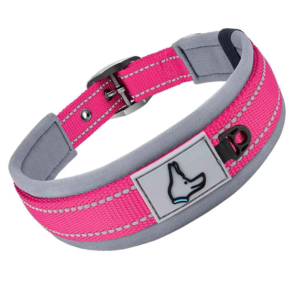 Collier chien Nylonneo rose rouge