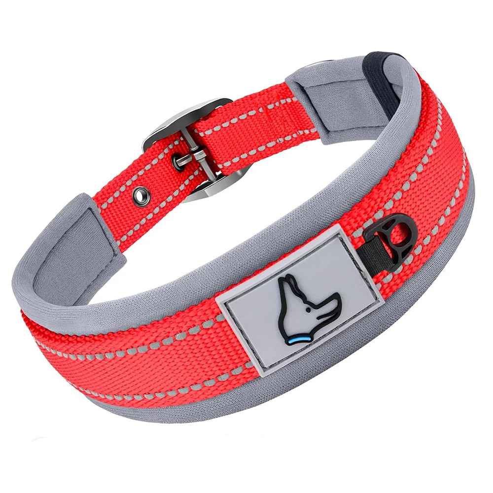 Collier chien Nylonneo rouge