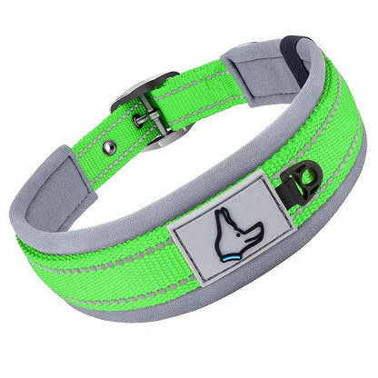 Collier chien Nylonneo vert