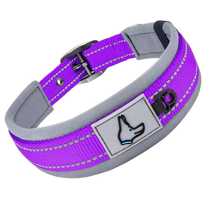 Collier chien Nylonneo violet