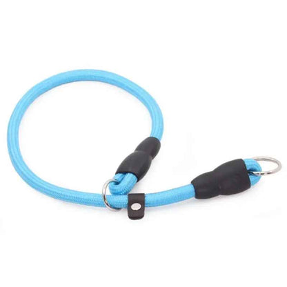Collier de chien reglable bleu