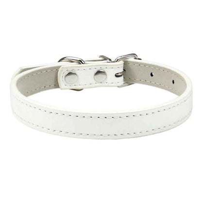 Collier en cuir pour chien confort optimale blanc