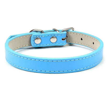 Collier en cuir pour chien confort optimale bleu