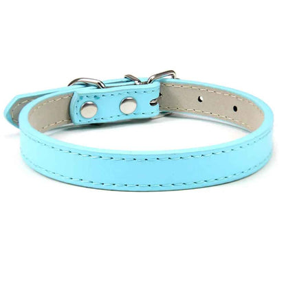 Collier en cuir pour chien confort optimale bleu clair