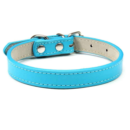 Collier en cuir pour chien confort optimale bleu lac