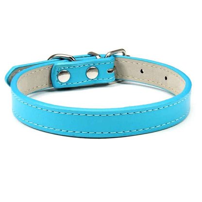 Collier en cuir pour chien confort optimale bleu lac