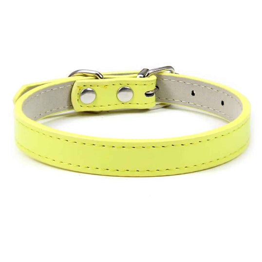 Collier en cuir pour chien confort optimale jaune