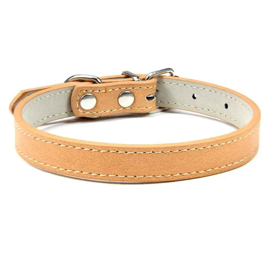 Collier en cuir pour chien confort optimale kaki