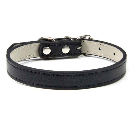 Collier en cuir pour chien confort optimale noir