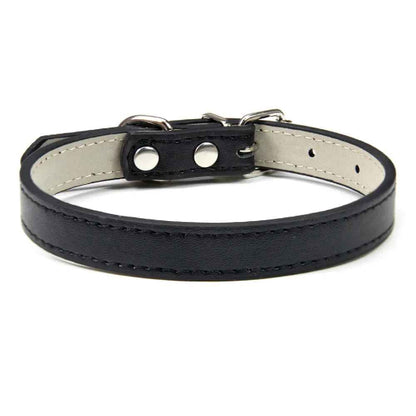 Collier en cuir pour chien confort optimale noir