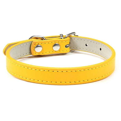Collier en cuir pour chien confort optimale or