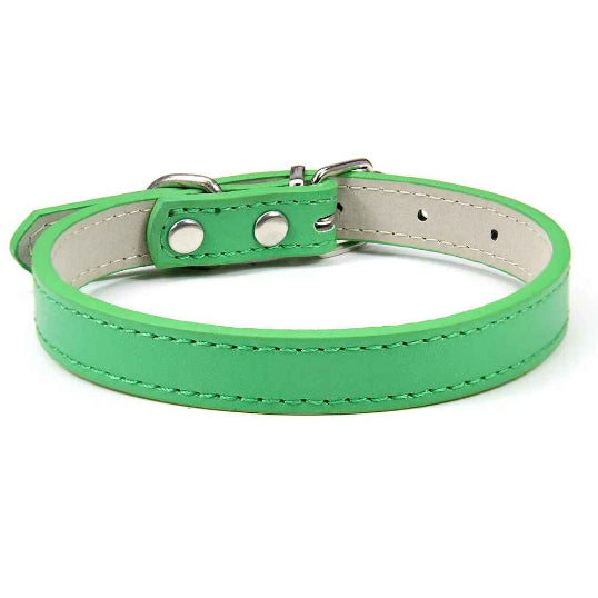 Collier en cuir pour chien confort optimale vert