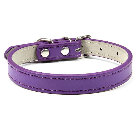 Collier en cuir pour chien confort optimale violet