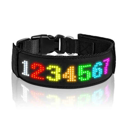 Collier lumineux chien LED affichage RBG LED