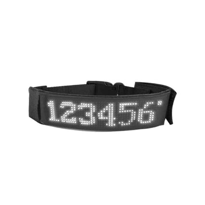 Collier lumineux chien LED affichage blanc