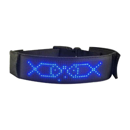 Collier lumineux chien LED affichage bleu