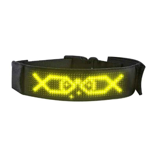 Collier lumineux chien LED affichage jaune