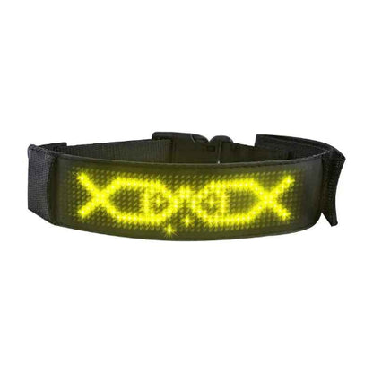 Collier lumineux chien LED affichage jaune