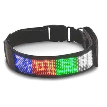 Collier lumineux chien LED affichage multicolor