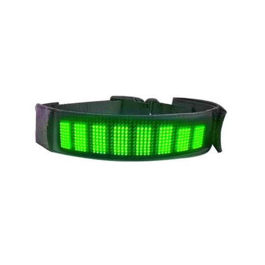 Collier lumineux chien LED affichage vert