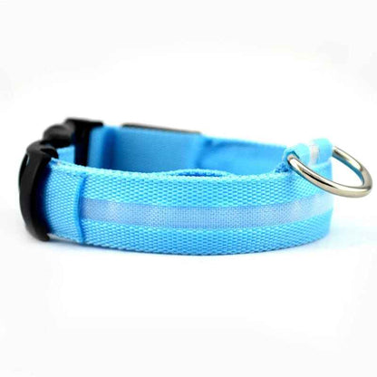 Collier lumineux chien LED nylon bleu