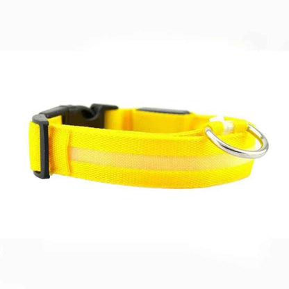Collier lumineux chien LED nylon jaune