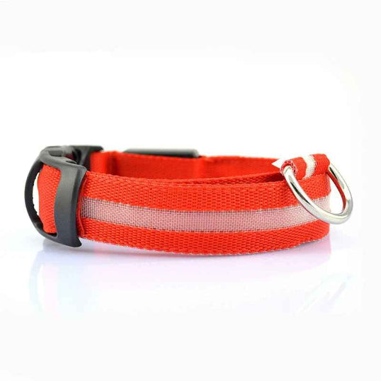 Collier lumineux chien LED nylon rouge