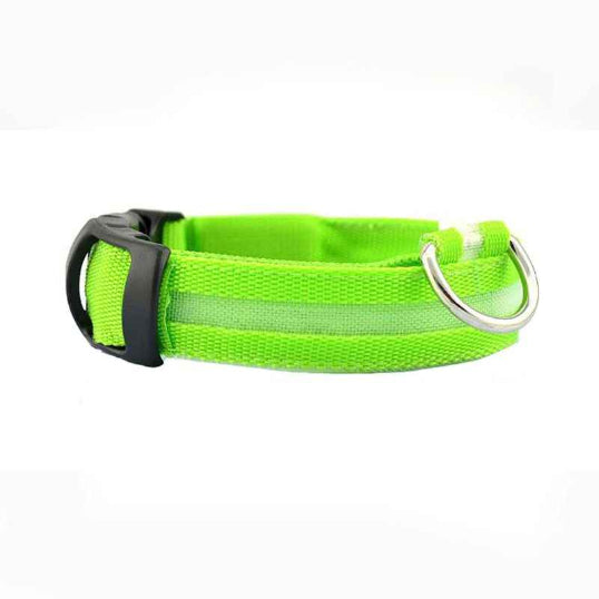 Collier lumineux chien LED nylon vert