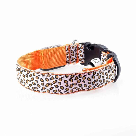Collier lumineux pour chien leopard orange