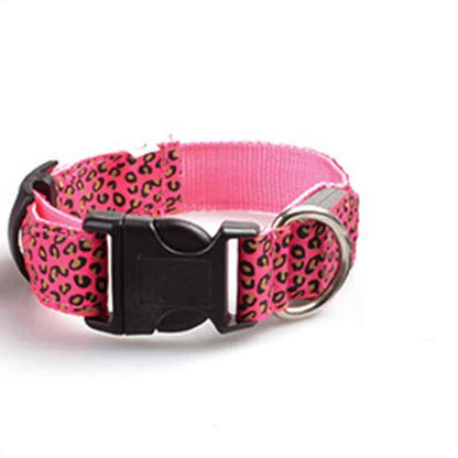 Collier lumineux pour chien leopard_rose