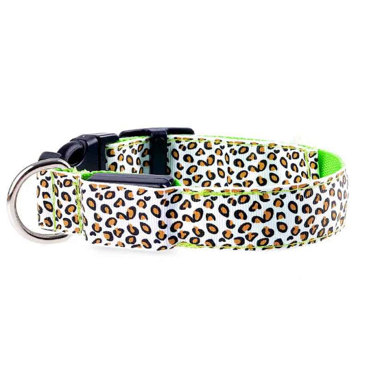 Collier lumineux pour chien leopard vert